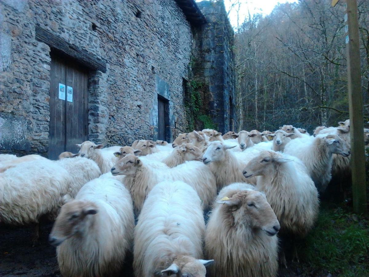 Casa Rural Orortegi Aia Esterno foto
